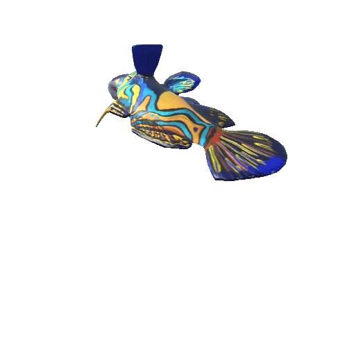 Mandarin Fish